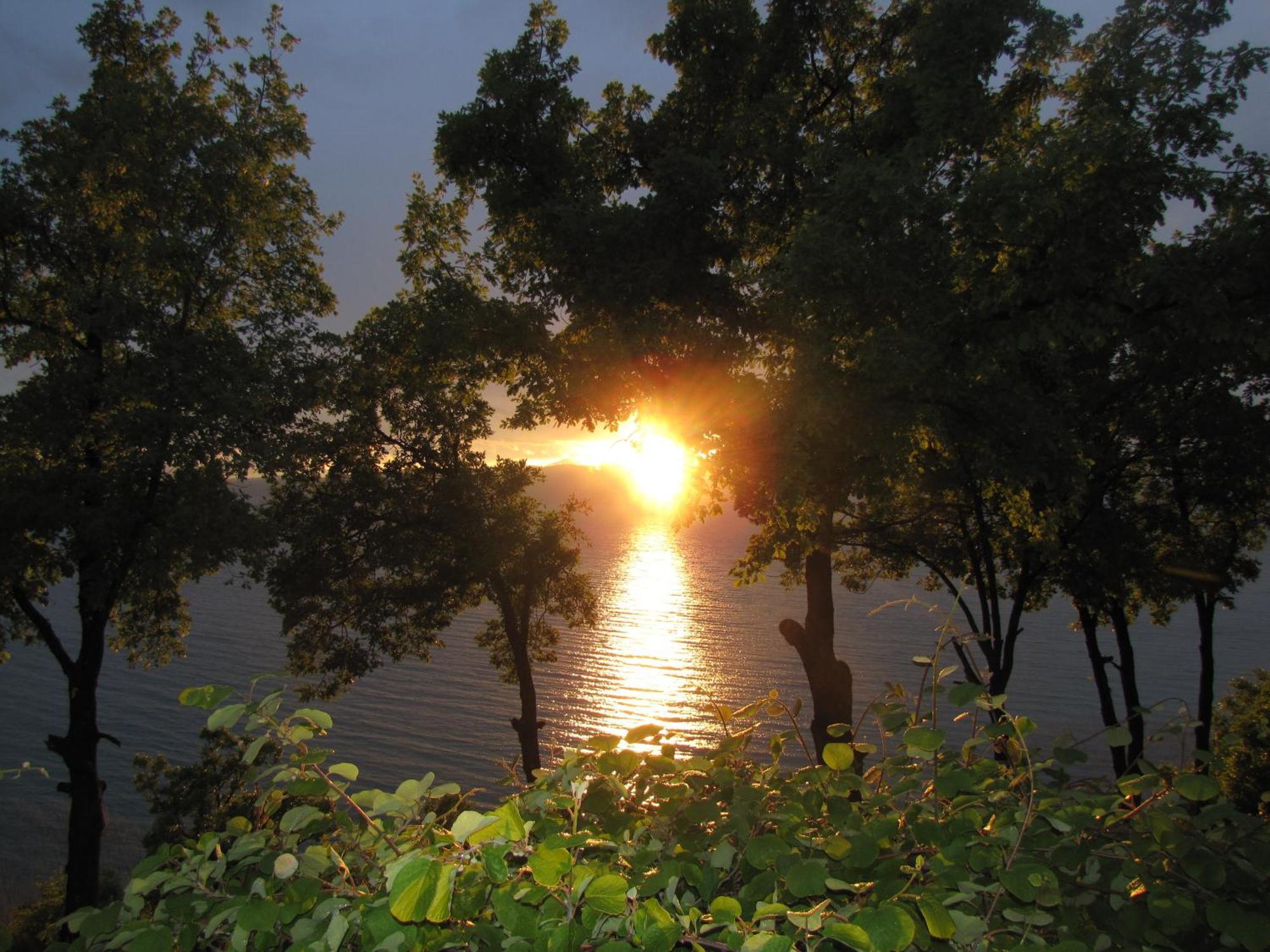 Golden Sunset